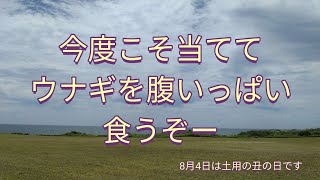 第1,712回ロト6予想してみました(^^;;