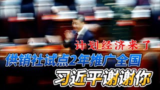 放弃幻想，湖北重建千余所“供销社”试点，两年内推广全国；习近平，谢谢你