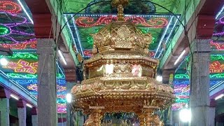 ,🔯🙏🙏🙏🔯ஸ்ரீ செளந்தரராஜப்பெருமாள் தங்க ரதத்தில் வீதியுலா🔯🙏🙏🙏🔯#perumalsongstamil #perumal #om