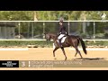 usdf introductory test b with lilo fore