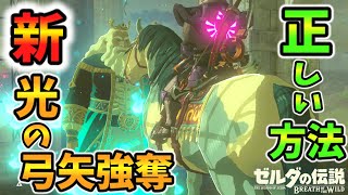 新光の弓矢強奪の正しいやり方\u0026乗馬しながらハイラル王と話すと？【ブレワイ BotW】裏技 バグ 検証 ゆっくり実況 glitch