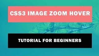 CSS3 Image Zoom hover effect | CSS3 Animation Snippets | Tutorial for beginners
