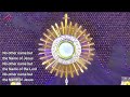 live adoration 30 holy mins 2 january 2025 dcn navin d silva u0026 shane gomes