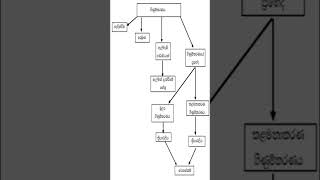 Grade 12 Accounting | Mind map 1