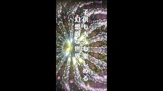 光の芸術を見に行こう！『物理学者が出会った美の世界 カレイドスコープワンダーランド』#Shorts