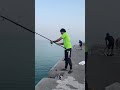 doha chornish fishing doha