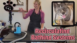 Using a Recirculating Bathing System - Explanation and Demonstration - Gina's Grooming