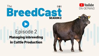 The BreedCast: S2 Episode 2 - Managing Inbreeding