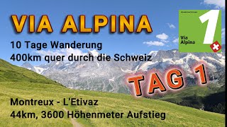 Via Alpina - Tag 1/10 - Montreux - L' Etivaz  | Switzerland | Schweiz | Hike | Wanderung