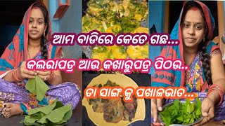 ଆମ ବାଡି କଲରାପତ୍ର ଆଉ କଖାରୁପତ୍ର ପିଠଉଭଜା କୁ ପଖାଳଭାତ #minivlog#vlog#villagelife#cooking#food #shorts