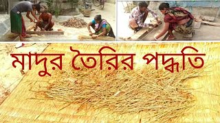 HOW TO MAKEING MAT|| দেখুন কিভাবে মাদুর তৈরি করা হয়।