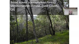 2 Temperate Forests