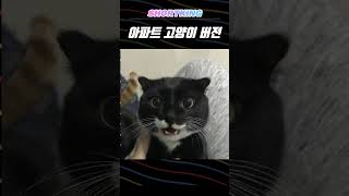 아파트 고양이 버전 #cat #귀여운아기