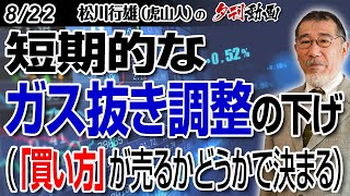 8/22夕刊動画～短期的なガス抜き調整の下げ（「買い方」が売るかどうかで決まる）