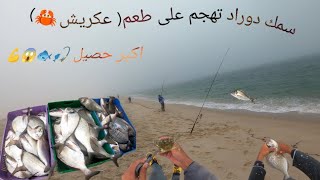 سمك دوراد تهجم على طعم عكريش 🦀 اكبر حصيل 🎣🐟😱💪💯 خيرات #جنوب