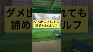 【ゴルフ】はじめて5日目のウソのようなアイアン#shorts#ゴルフ#golf#골프#高尔夫球#お笑い