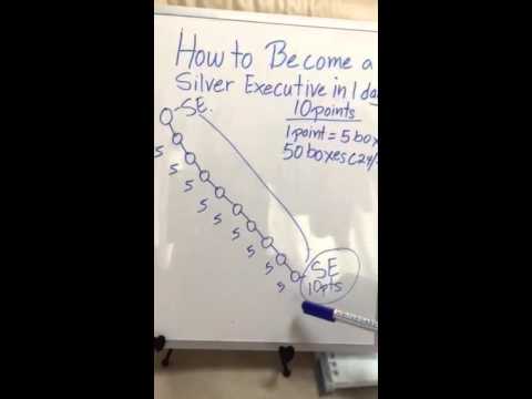 Aim Global Silver Executive Youtube