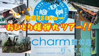 【女1人旅】片道538㎞‼ charm館林店(チャーム)に行ってみた～(･∀･)/