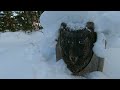 tree house night in the hunters hut log cabin survival in the wild snowy forest