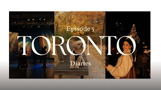 Toronto Diaries EP 5 | Winter Village, Pet Sitter Life, Art Gallery of Ontario