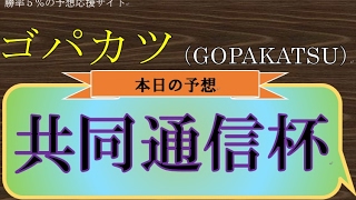 【ゴパカツ】2017共同通信　予想動画