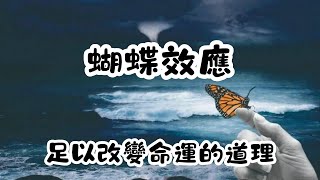 蝴蝶效應：一個小決定，如何改變世界？｜冷知識｜陰謀論｜中文字幕