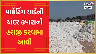 Savarkundla Marketing Yard કપાસની આવકથી છલોછલ, મણના આટલા ભાવ બોલાયા | #local18