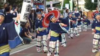 上總童組＠第１６回坂戸よさこい：２０１６年１０月８日：埼玉県坂戸市