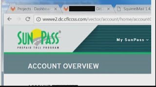 Florida woman says a complete stranger was added to her SunPass account | 10News WTSP