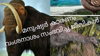 മനുഷ്യർ കാരണം വംശനാശം സംഭവിച്ച ജീവികൾ /video Malayalam