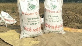 ऊसर भूमि को उपजाऊ बनाने वाला मां जिप्सम powder\u0026 कृषि विभाग उत्तर प्रदेश