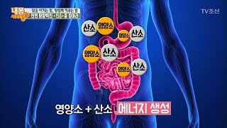 천연 항암 백신 ‘산소’를 잡아라 [내 몸 사용설명서] 171회 20170922