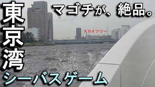 東京湾シーバス釣りに行ったのですが…まさかの３人ボウズ。何とかマゴチを２匹ゲット出来たので、馴染みの料理屋さんで反省会をしました。オーナーシェフ、高井さんの許可を頂き店内で撮影させて頂きました。