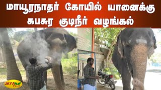 மாயூரநாதர் கோயில் யானைக்கு கபசுர குடிநீர் வழங்கல்| Mayuranathar Temple | Elephant | KabasuraKudineer