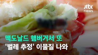 맥도날드 햄버거서 또 '벌레 추정' 이물질 나와 / JTBC 아침\u0026