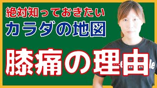 膝の痛みは体の仕組みを知れば消える【世界一受けたい授業】コスガミユキ