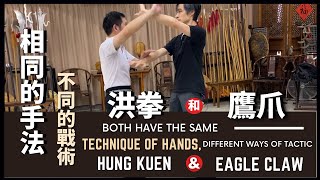 洪拳和鷹爪相同手法 不同戰術Hung Kuen & Eagle Claw have the Same Technique of hands, Different ways of tactic