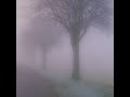 Lost