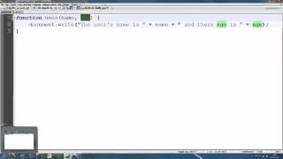 JavaScript Tutorial 13 - function parameters