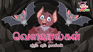 வௌவால்கள் பற்றிய அறிய தகவல்கள் | Lipapaa Tamil | Facts about bats 🦇