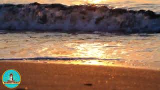 🌈5 min. Guided Meditation Session -  Beach - Waves - Gulls 🌺 🌺 🌺