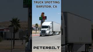 TRUCK SPOTTING #01708 / PETERBILT #automobile #semitrailer #trucking