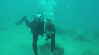 What Is An Artificial Reef?