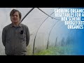 Growing Organic Vegetables for a Box Scheme – Bridgefoot Organics