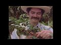 You Will Remember this Juan Valdez 100% Colombian Coffee Commercial Ad from 1983