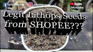 🌱 Plantita Newbie's Legit Lithops Seeds from SHOPEE???