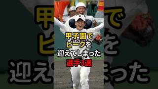 甲子園でピークを迎えてしまった選手3選！！ #野球 #高校野球 #甲子園 #雑学