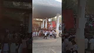 കുതിര കളി കാണാൻ ഇഷ്ടമാണോ?/KUTHIRAKALI#vennekkattukuthira#ruralfestival#shortvideo