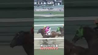 【競馬】変な馬名しか出てこないレースが面白すぎる!!  #shorts