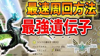 【モンハンストーリーズ2】青電主ライゼクスの火力がぶっ壊れる「最強遺伝子」後悔する前にまずは確認しよう！【アップデート/破滅の翼/攻略/MHST2/モンハンライズ】